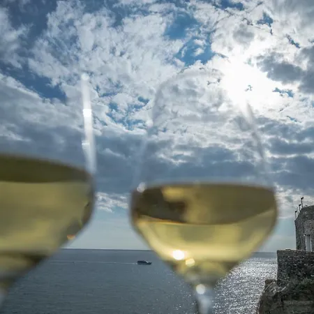Mike & Franca Sea View Vernazza